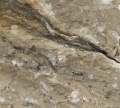 Product 125437